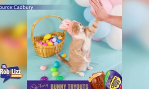 New Cadbury Bunny Revealed