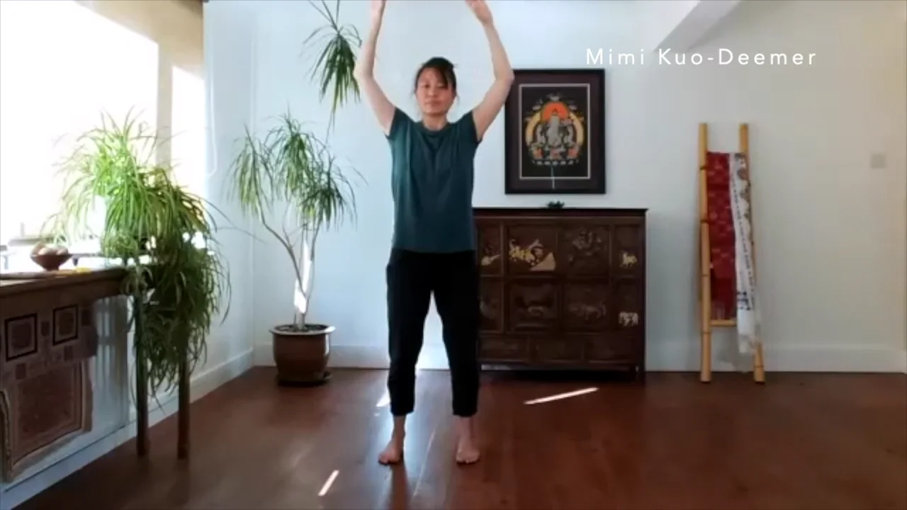 Watch Qigong 18 Forms - A 5 class series Online | Vimeo On Demand on Vimeo