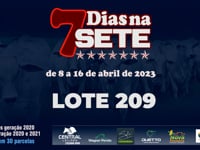 Lote 209
