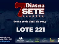 Lote 221