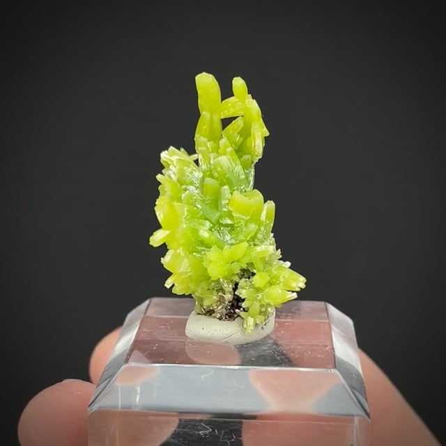 Pyromorphite (rare style) | Daoping Mine, Guilin, Guangxi, China