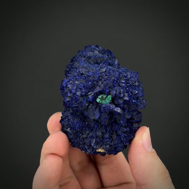 Floater Azurite rosettes (excellent)