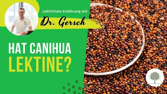 Hat das Pseudogetreide Canihua Lektine?