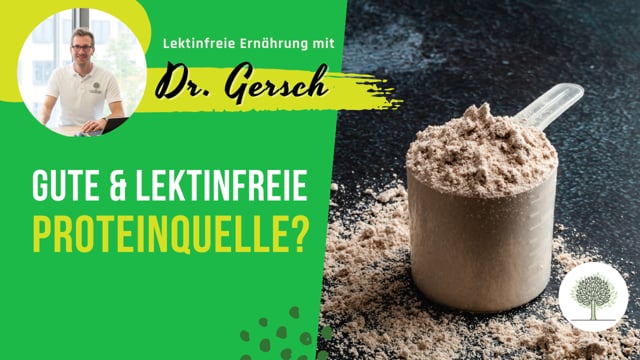 Gibt es auch ein Pilzproteinpulver? Wäre das eine gute lektinfreie Proteinquelle?