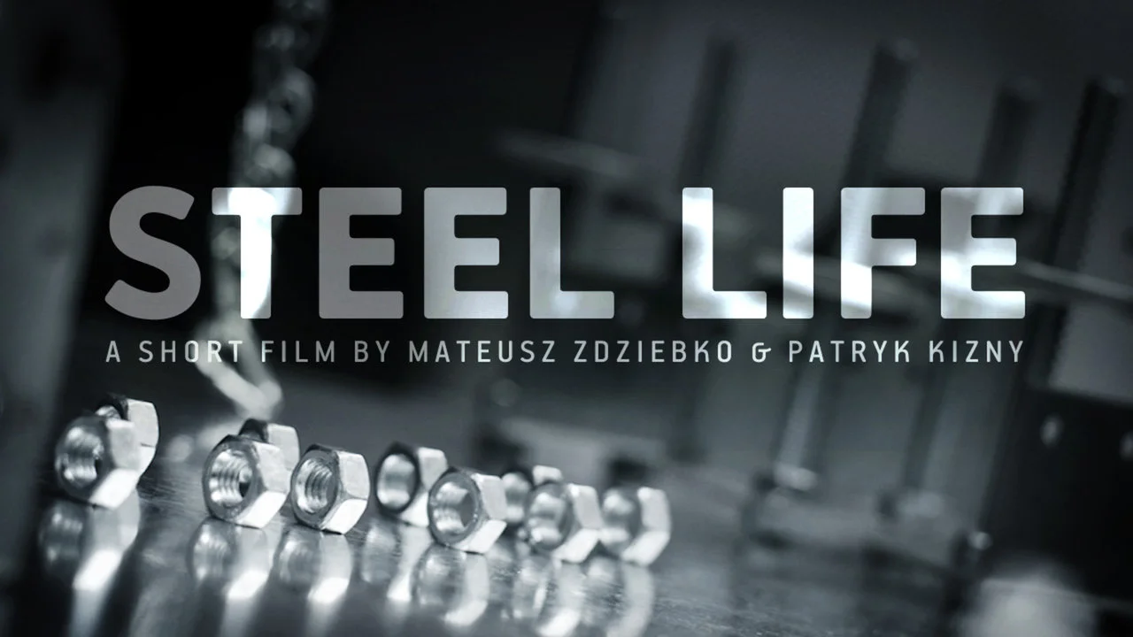 Жизнь сталь. Steel Life - сталь жизнь. Steel Life обложка. Fast Life фильм. Elik Life.