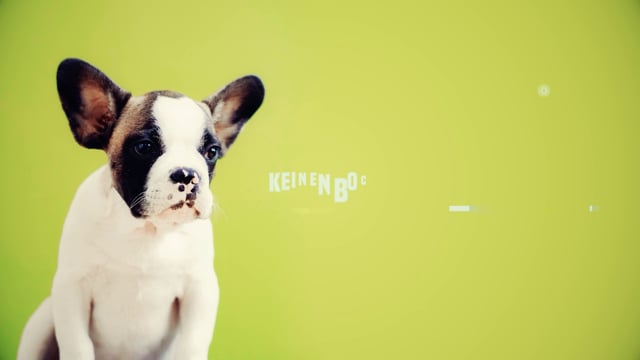 Falscher Hase? Kommt bei uns nicht in die Tüte!