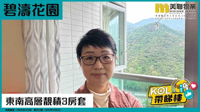 東南高層靚積3房套