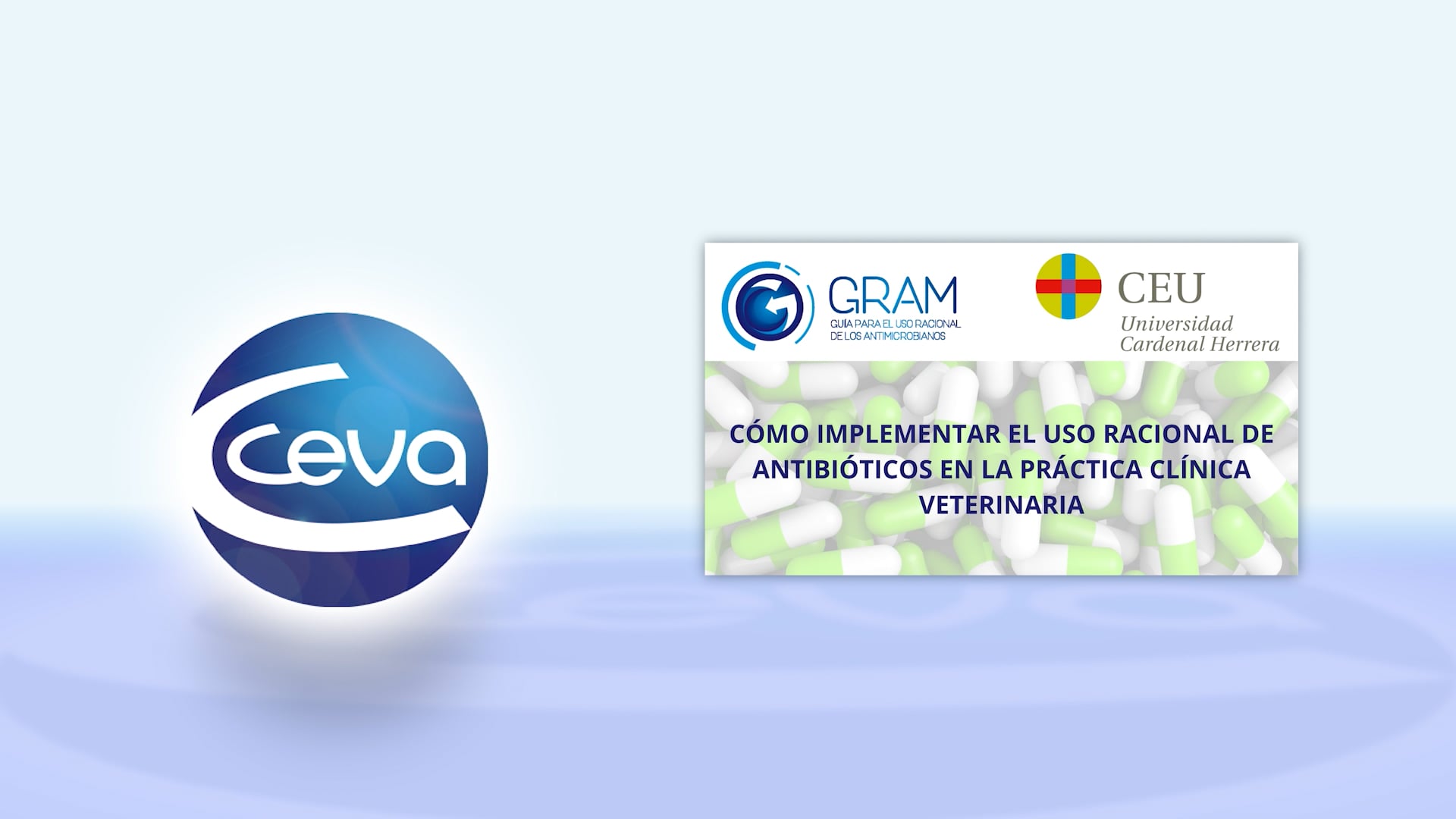 CEVA - Proyecto Gram on Vimeo