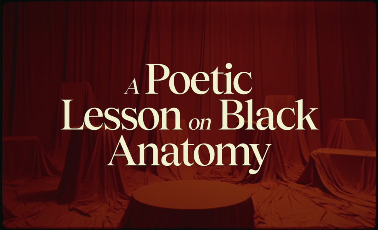 A Poetic Lesson on Black Anatomy - Falca Visual SL - 