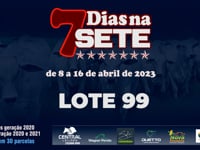 Lote 99