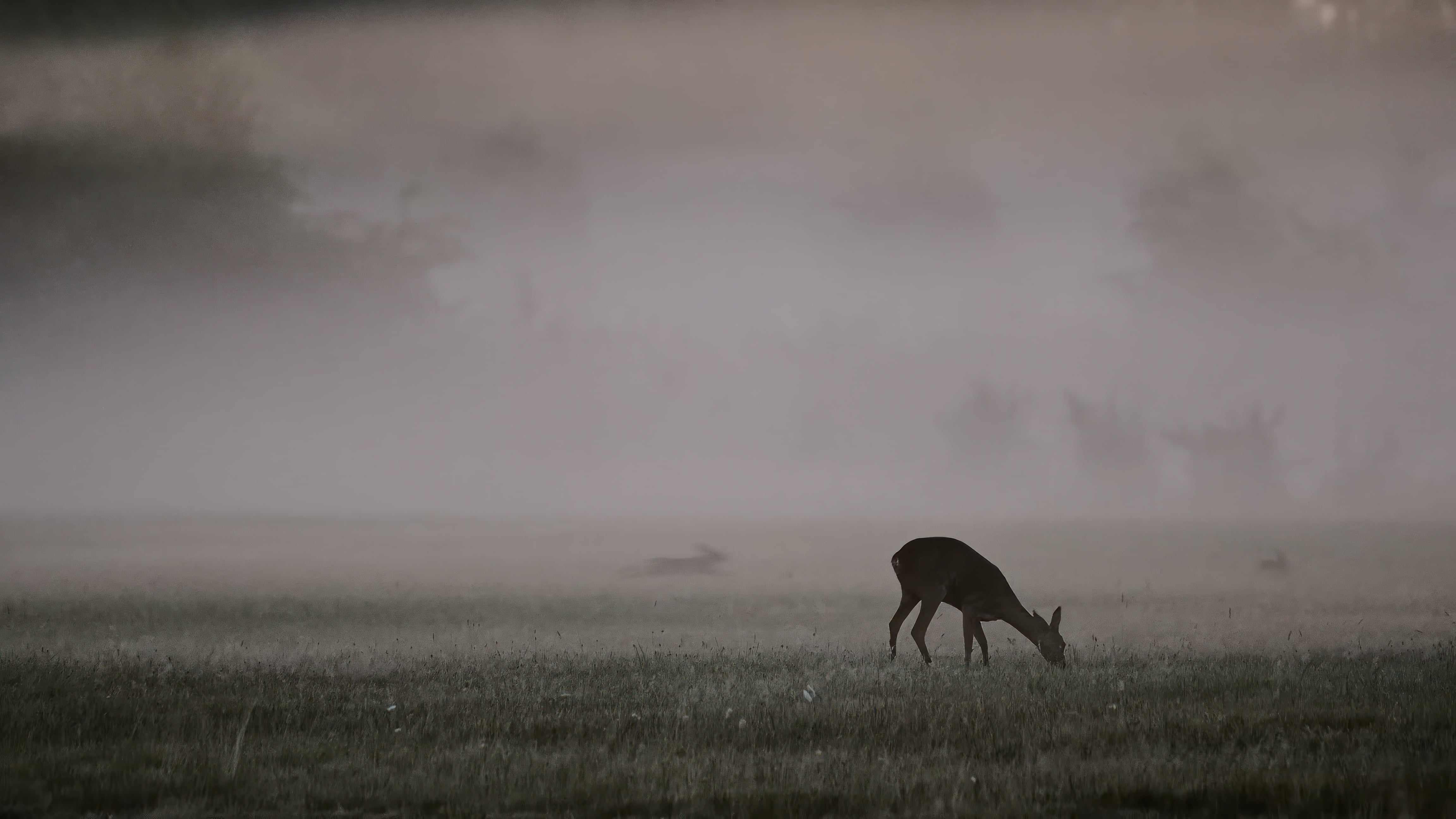 "Why I do what I do"