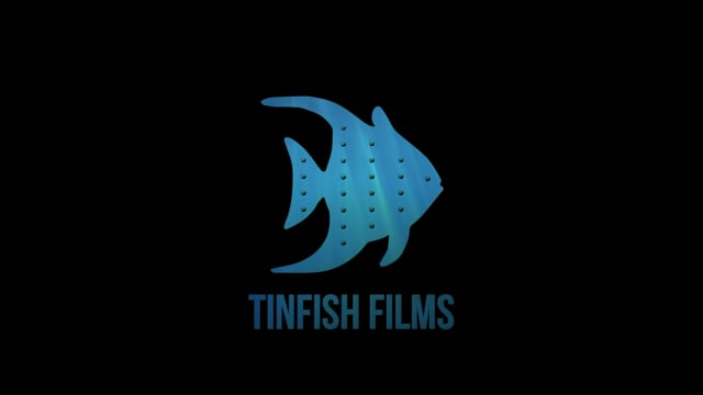 TinFish Films Animated Logo