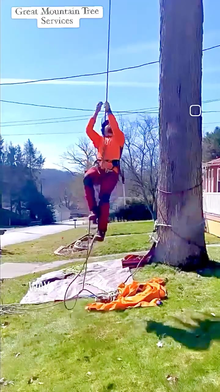 Great Mountain Tree Service Tree Service Franklin, Pennsylvania