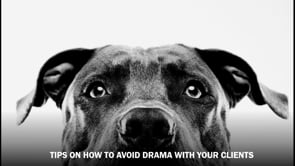 Tips on how to avoid drama in your relationship with your clients