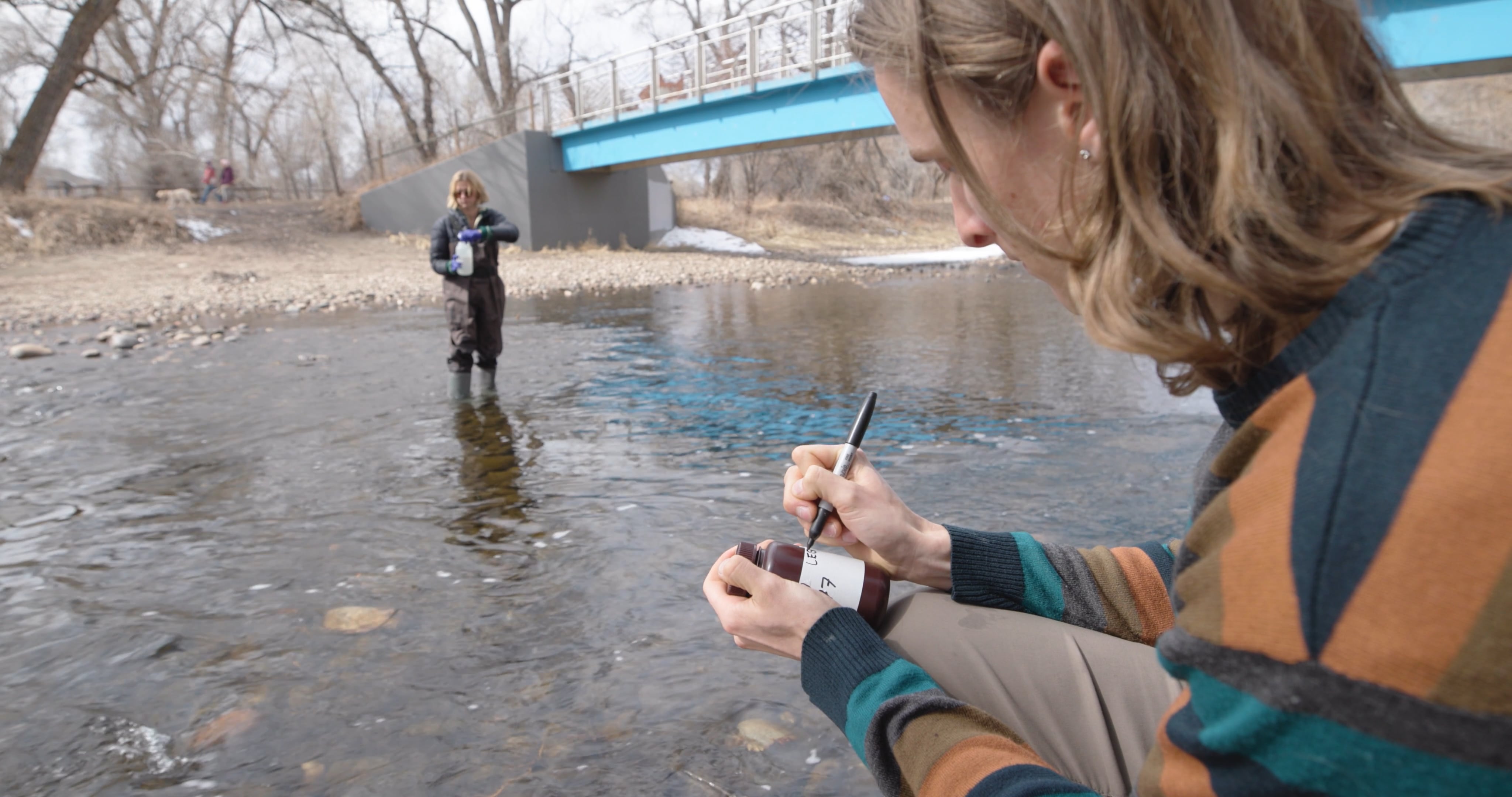 Planet Forward Ross Syndicate Profile