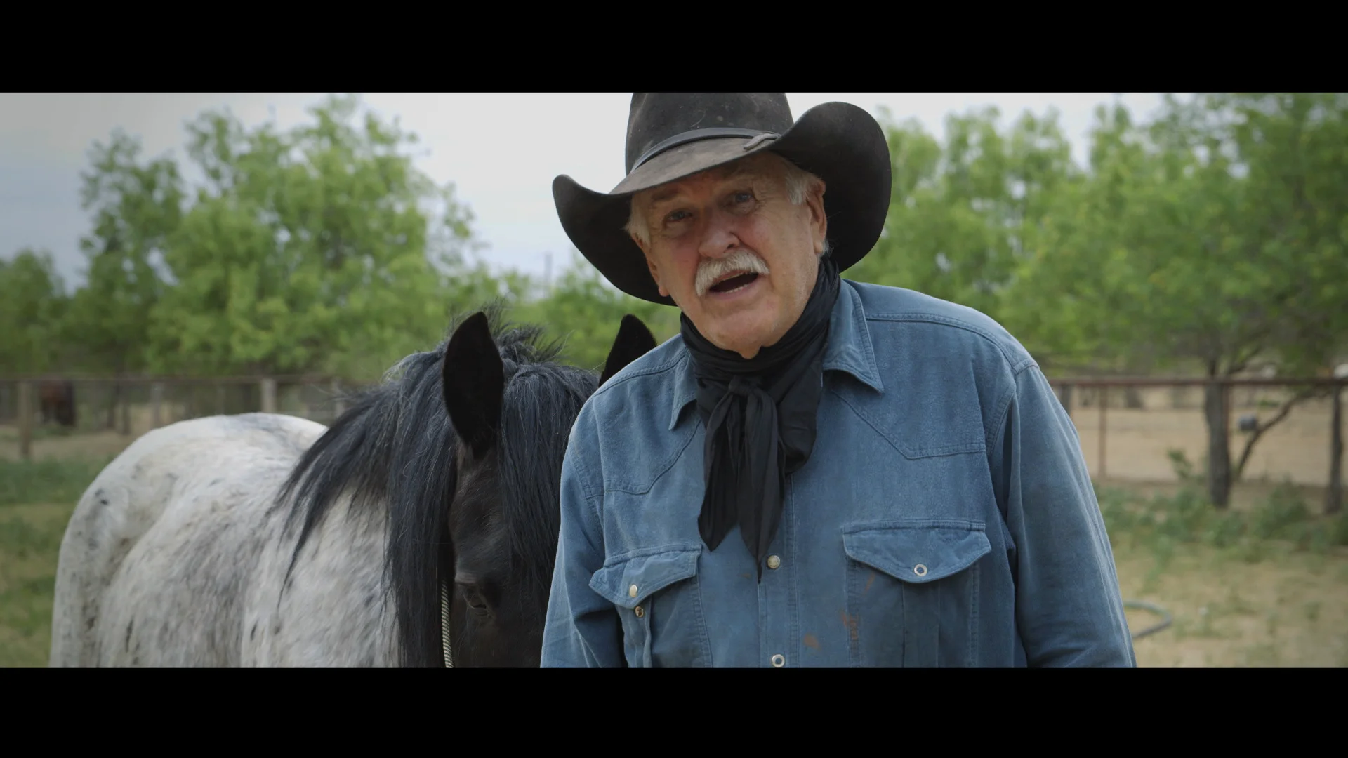 Watch Unbranded Online |   On Demand  