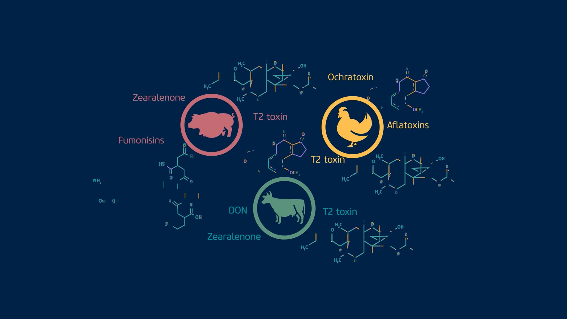 SmartShield on Vimeo