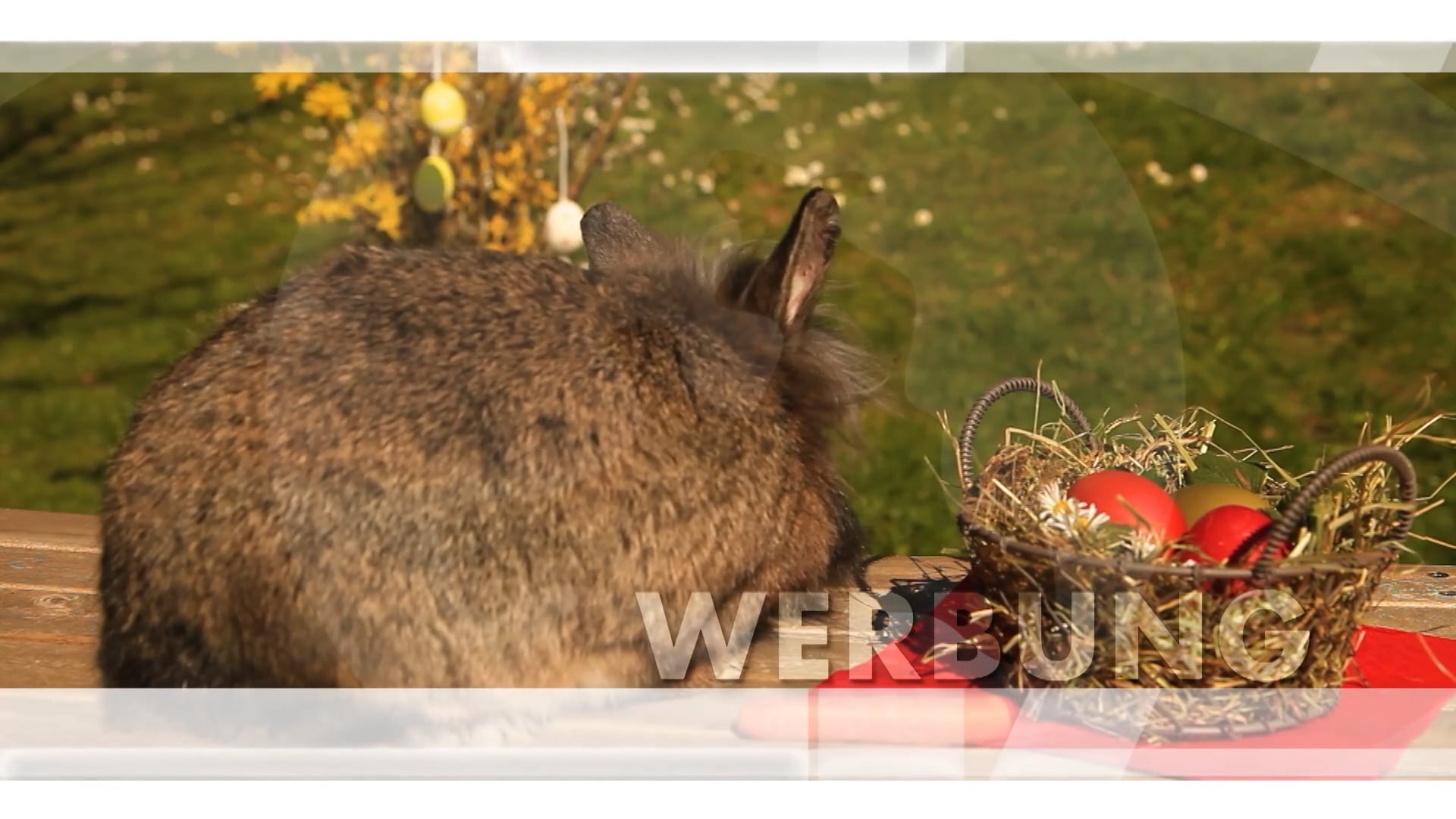 werbung-salzburg-schmeckt-07-04-2023
