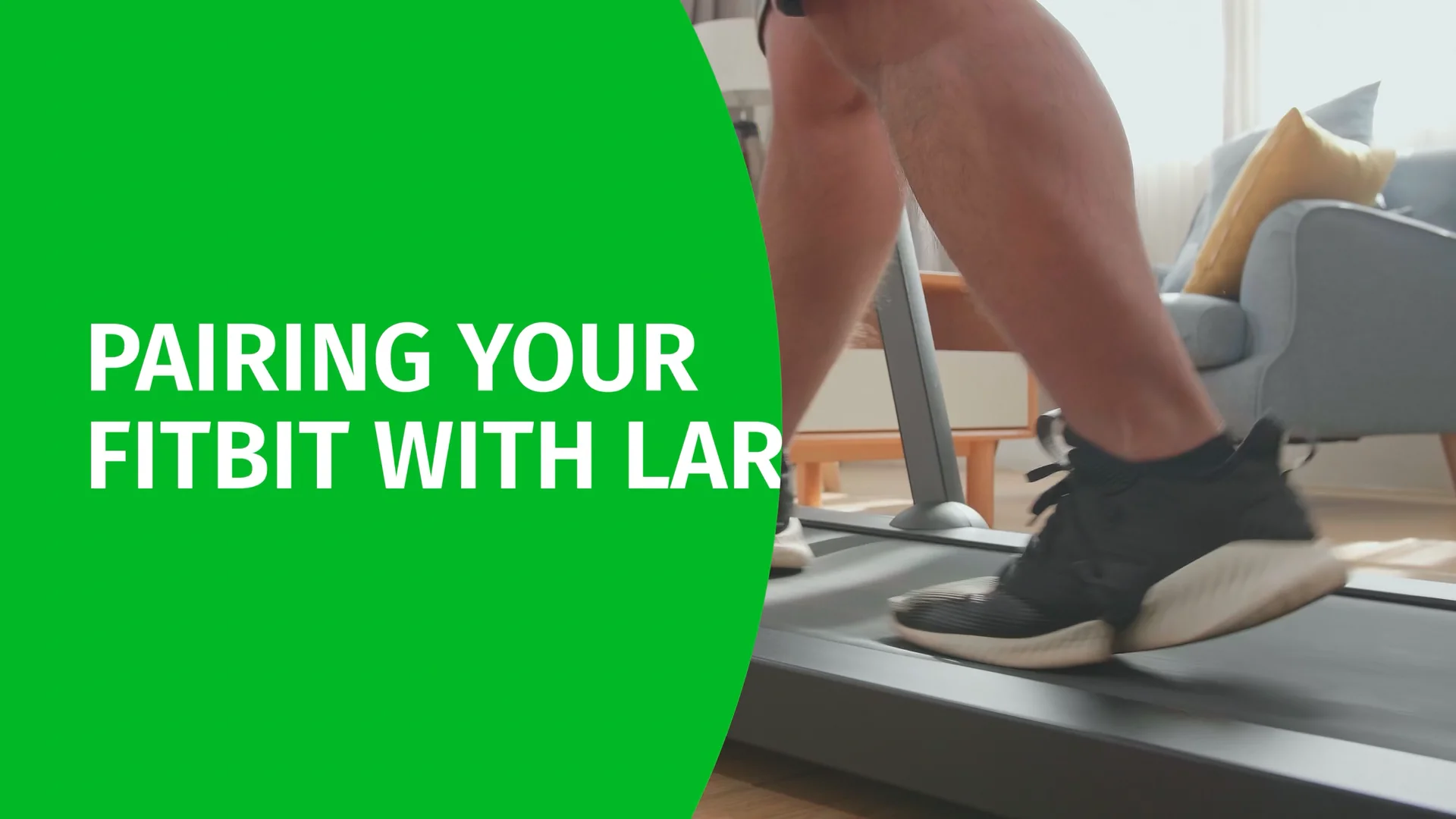 Lark fitbit hotsell
