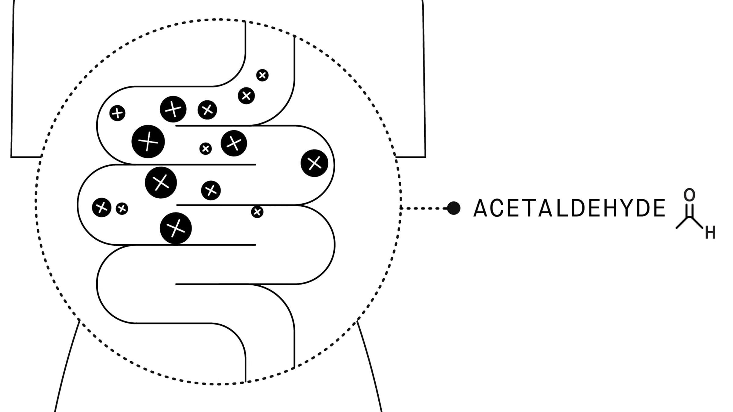 How ZBiotics Works | Videos & Movies on Vimeo