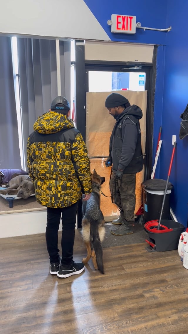 Training the owner