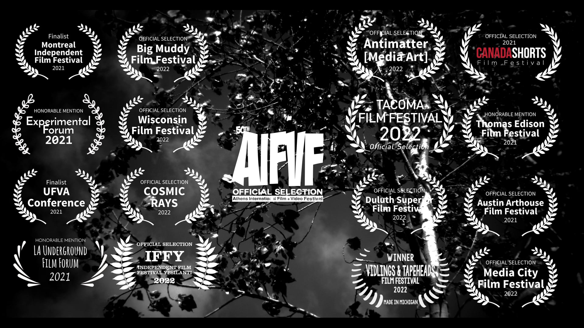 The Wind That Held Us Here