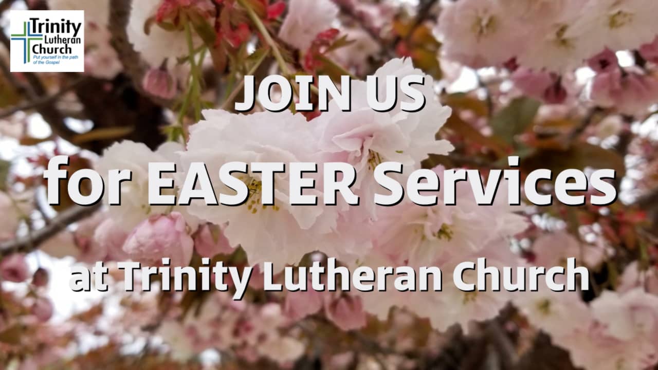 Join us for Easter Services at Trinity on Vimeo