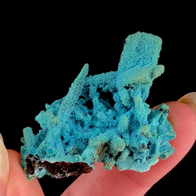 Chrysocolla pseudomorph after Malachite after Azurite