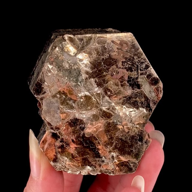 Phlogopite (circa early 1900s)