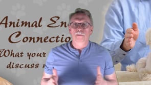 Free Conference on Animal Communication