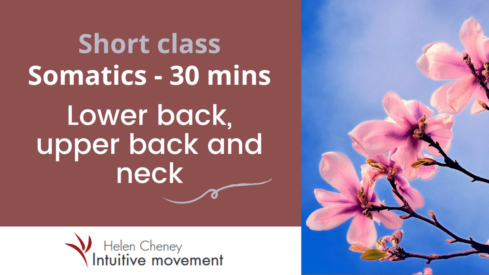 Short class - upper and lower back and neck