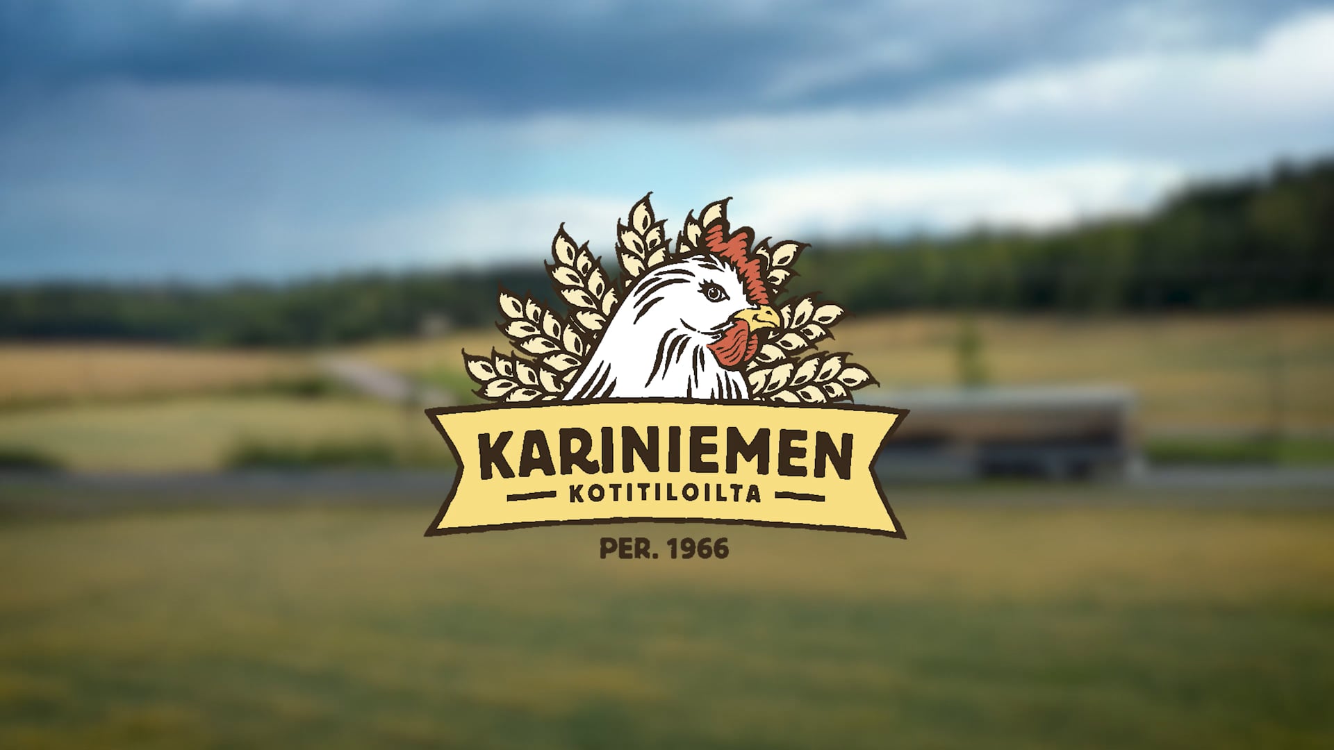 kariniemi_fb.mp4