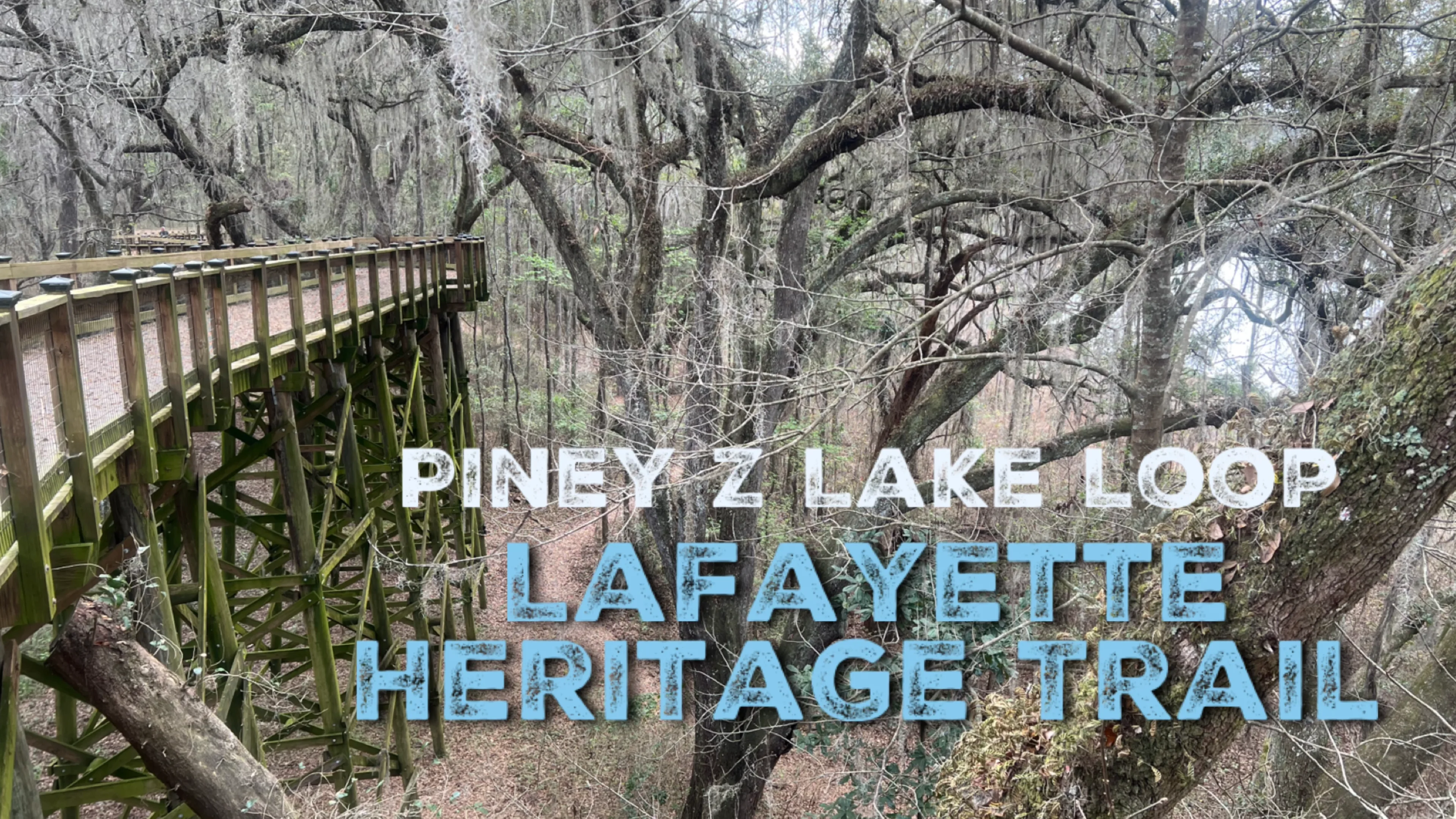 Fort Clinch Willow Pond Trails on Vimeo