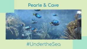 Pearle & Cave  #UndertheSea