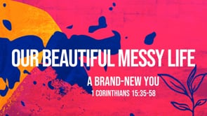 A Brand New You