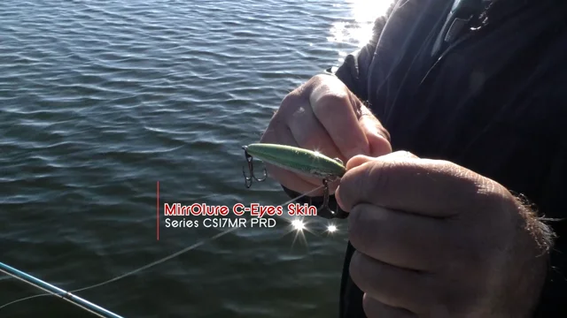 Fishing Adventures Florida Episode 4: Trout gone wild in Tarpon