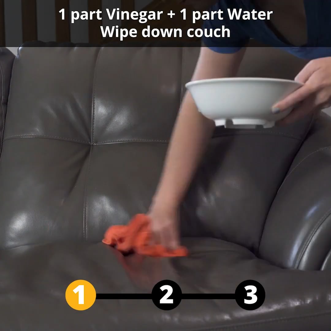 How To Clean A Leather Couch on Vimeo