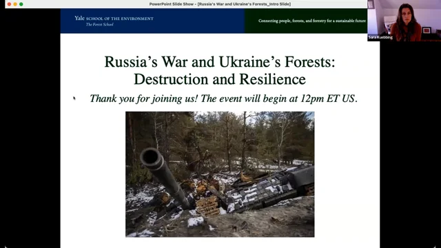 Scientists plan a comeback for Ukraine's war-ravaged forests, Science