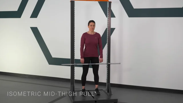 Ascend Labs - Traditionally, the isometric mid thigh pull (IMTP) has been  the favourite test for lower body strength assessment. However, the  isometric squat (ISQT) has been rising in popularity and coaches