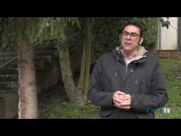 David Castellanos, de Semillas Fitó