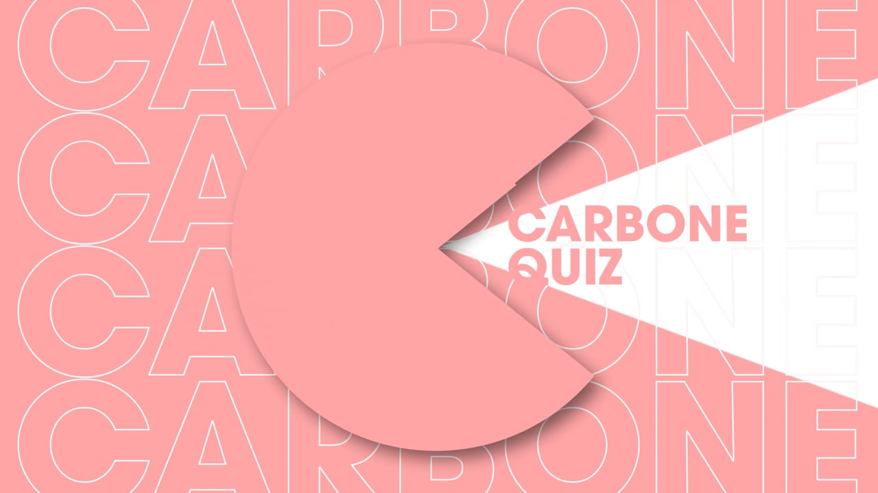 Tulipes – Carbone Quiz