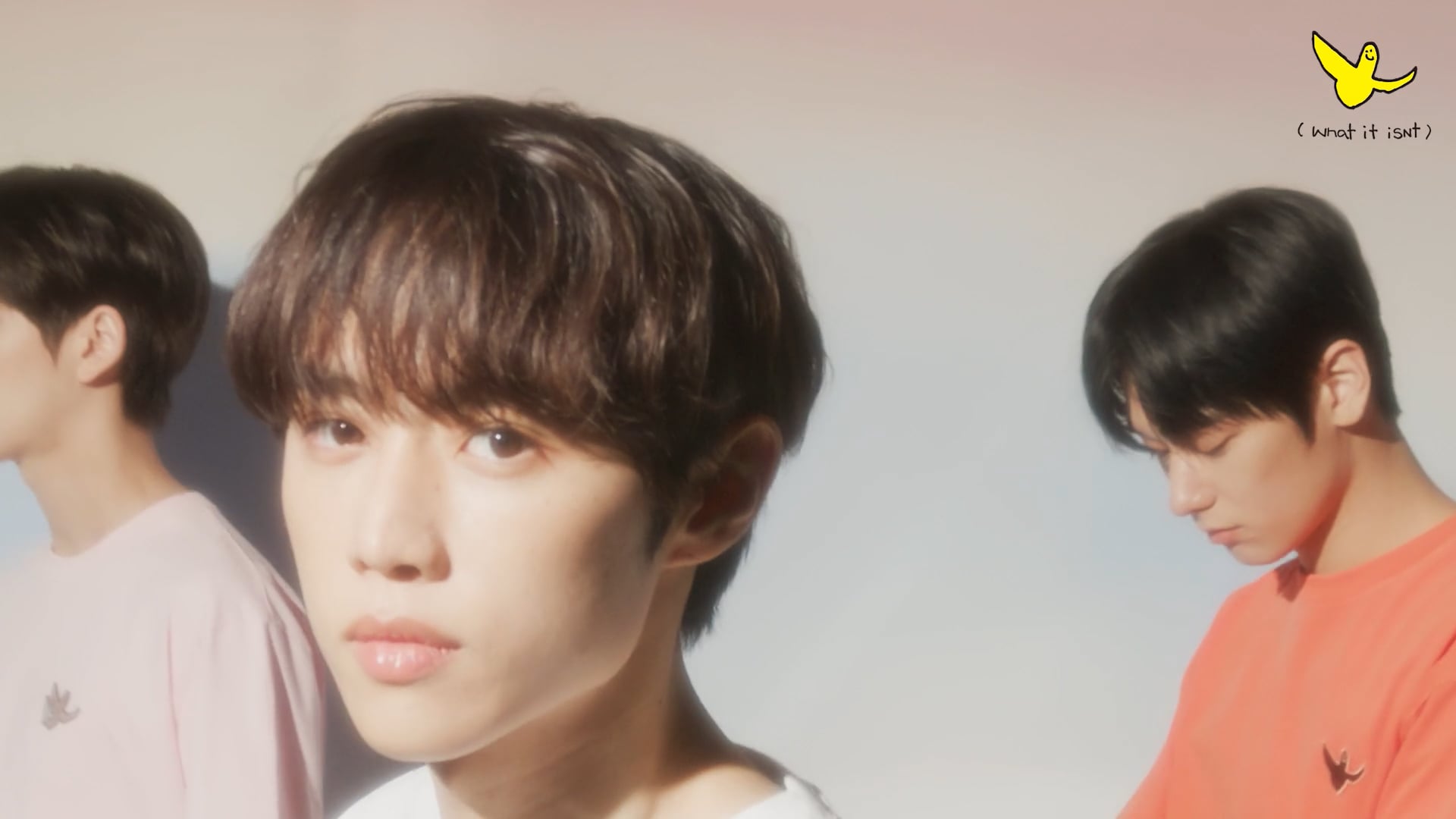 What it isNt_GREET #01.mp4