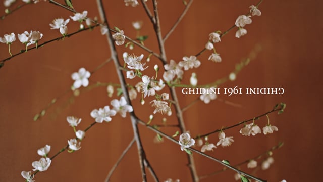 GHIDINI1961 - 2023 Collection