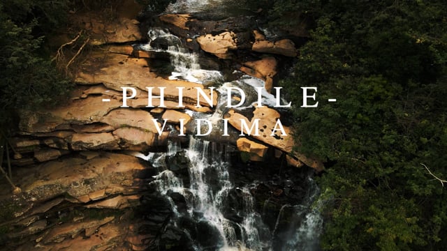 Phindile Vidima