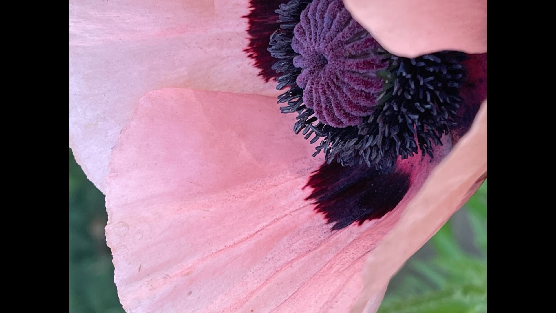 2023 April 03: How We Awaken With the Parami of Wisdom