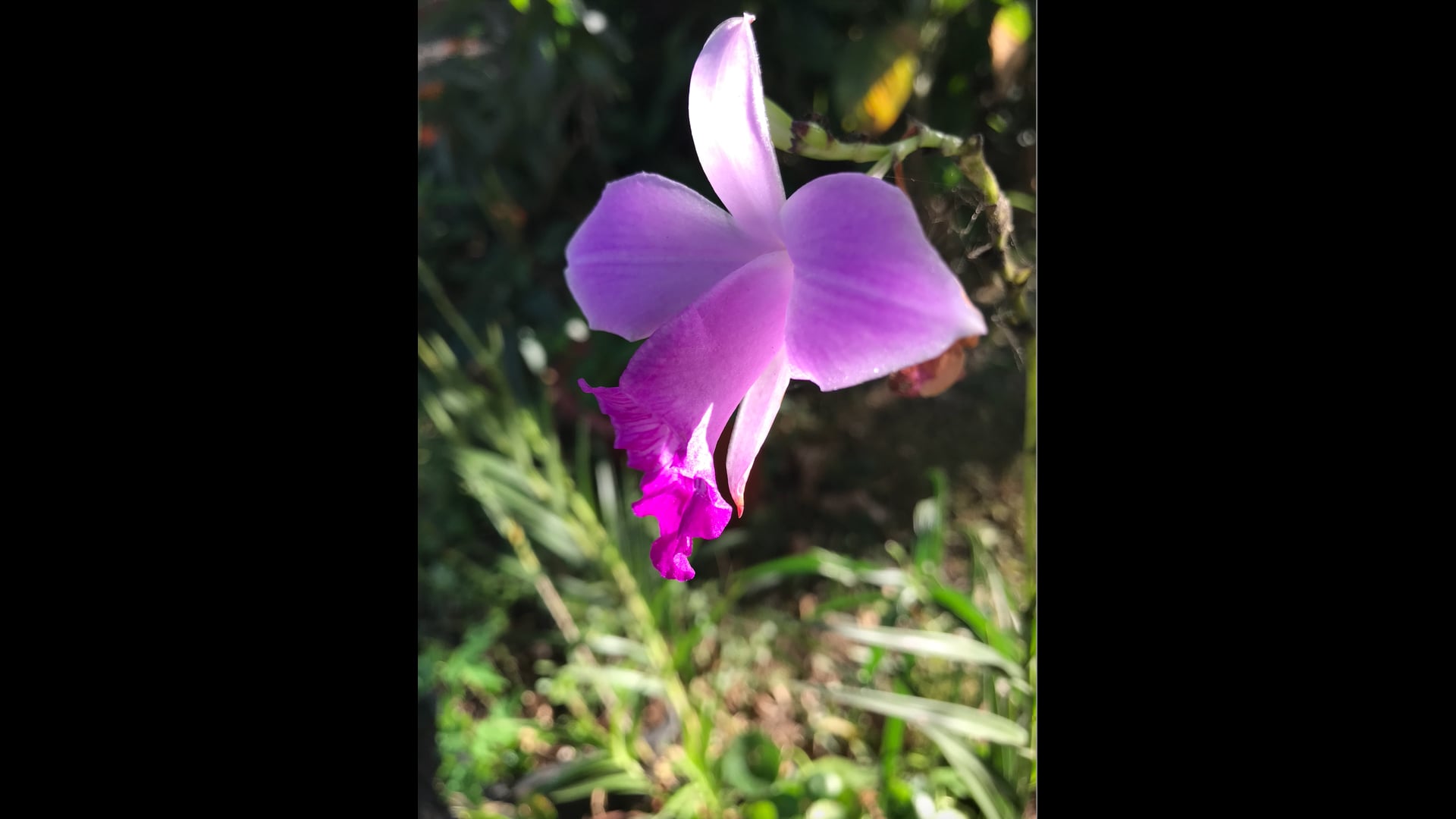 2023 March 29: Renouncing Dukkha