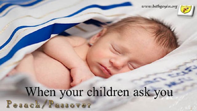 BGMCTV 2023 PESACH PASSOVER