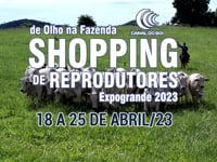 De Olho Na Fazenda Reprodutores ExpoGrande 2023