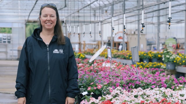 Flowering Vinca | Grow This Annual Flower for Deer Resistance & Summer Blooms