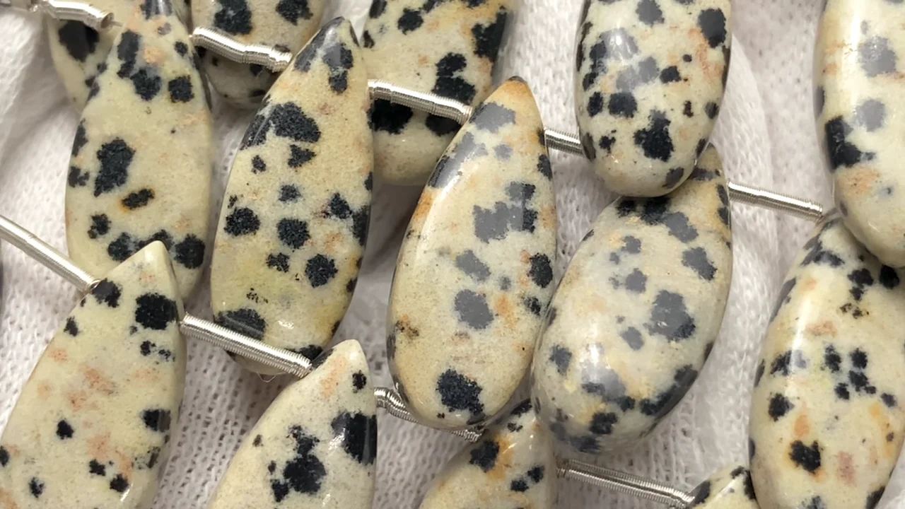 オーシャンジャスパー ホワイトダルメシアン オーシャンジャスパー ホワイトダルメシアン ダルメシアンジャスパーの